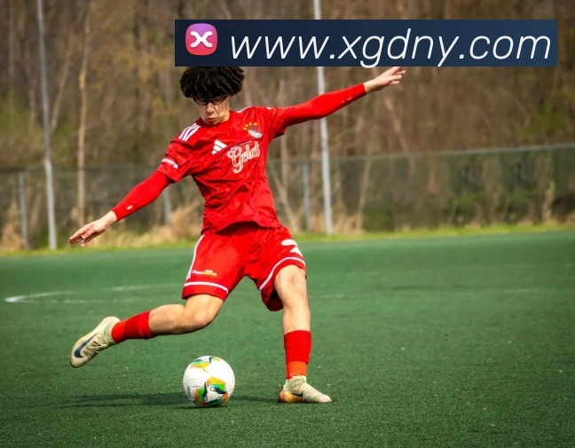 华体会平台生态图