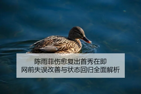 陈雨菲伤愈复出首秀在即 网前失误改善与状态回归全面解析