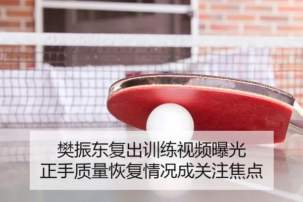 樊振东复出训练视频曝光 正手质量恢复情况成关注焦点